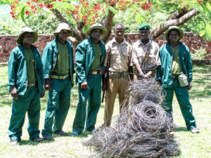Game Rangers Anti-Poaching Unit Scouts stand with collected snares from Zimbabwe Africa