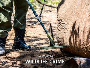 Zimbabwe Anti-Poaching Rangers - Bumi Hills Foundation