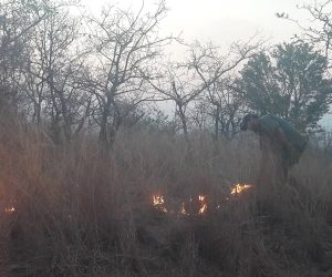 fire season zimbabwe